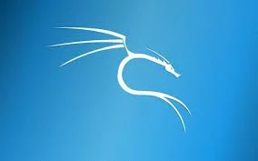 Use Kali Linux to Defend Against System Vulnerabilities