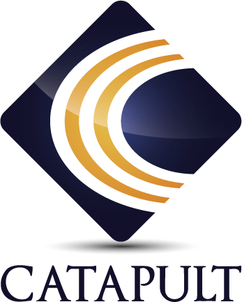 HIPAA Vault forms Deal with Catapult Federal Services HIPAA Vault forms Deal with Catapult Federal Services