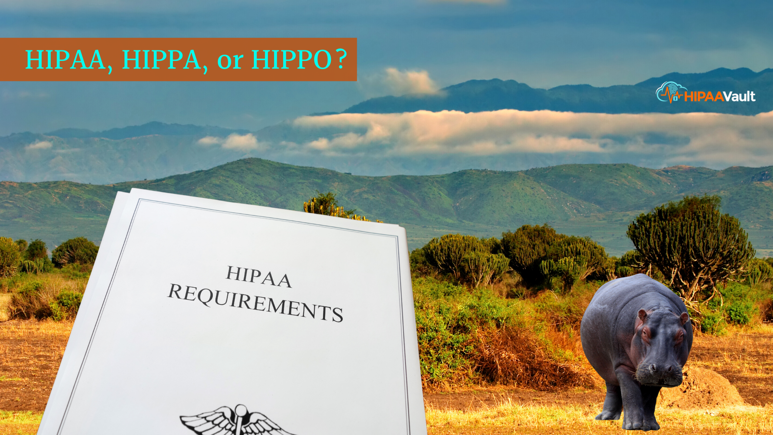 HIPAA, HIPPA, or HIPPO?