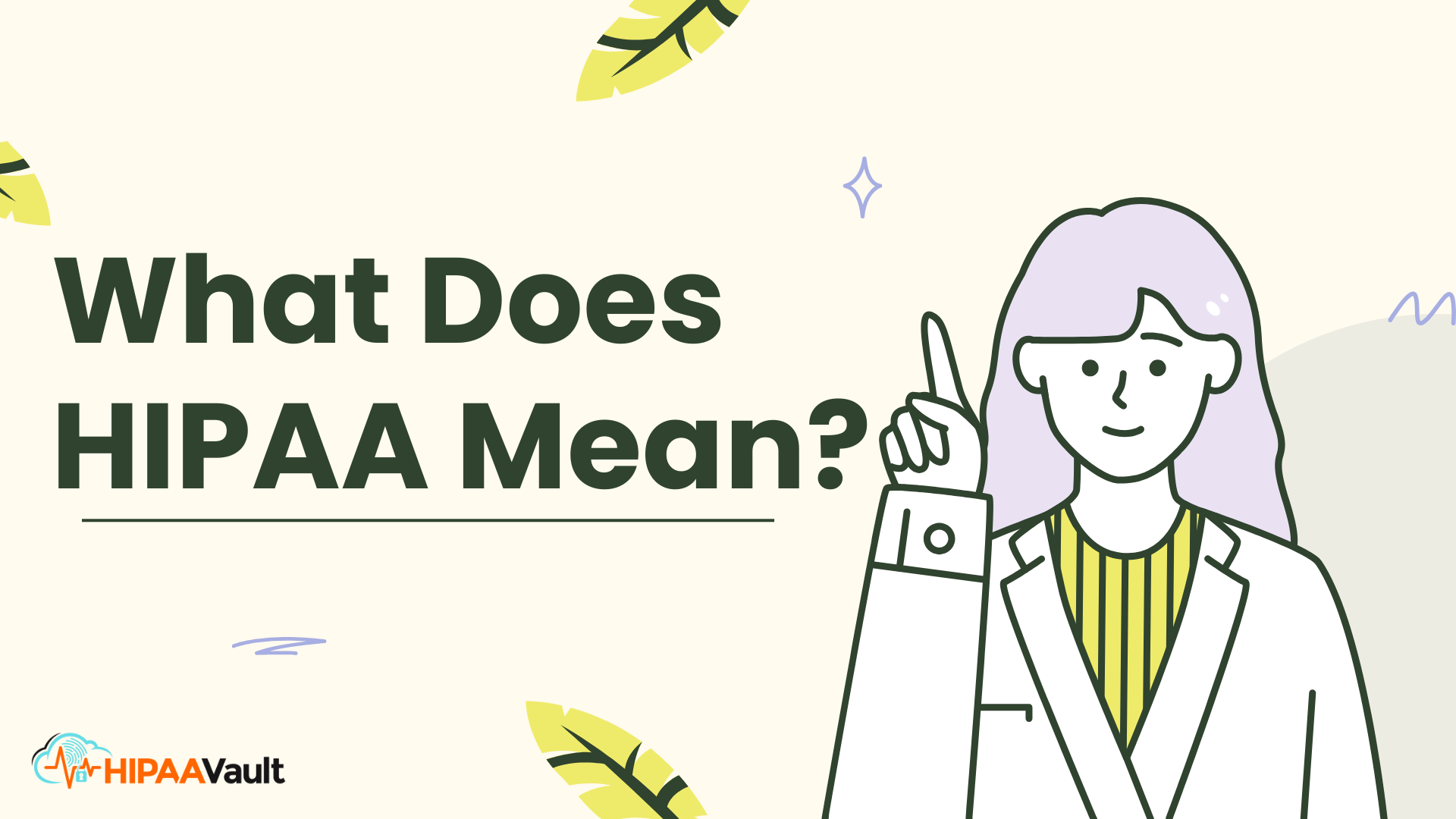What Does HIPAA Mean? What Does HIPAA Mean?